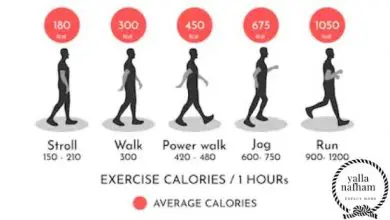 المشي لمدة ساعة كم يحرق من السعرات الحرارية يومياً