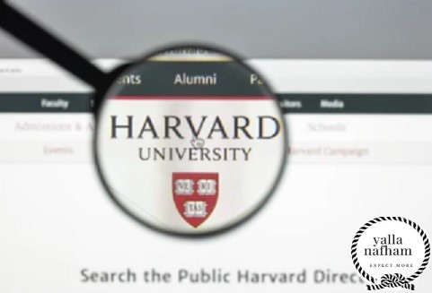 كيفية التواصل مع جامعة هارفارد