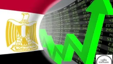 بورصة الاوراق المالية المصرية