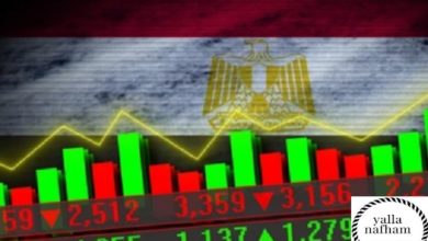 أفضل شركات تداول الأوراق المالية في مصر