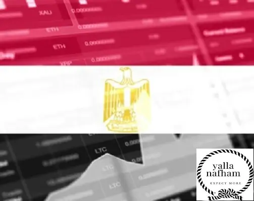 أفضل شركات تداول الأوراق المالية في مصر