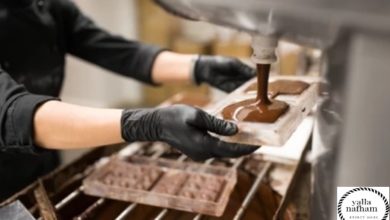 دراسة جدوي مصنع شوكولاته في مصر