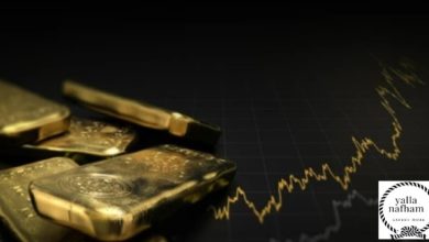 شركات تداول الذهب في مصر