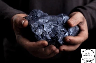 شركات تصدير الفحم في مصر