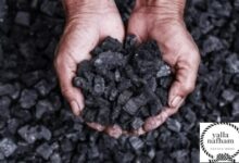 شركات تصدير الفحم في مصر